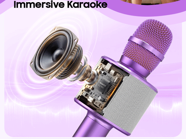 karaoke microphone