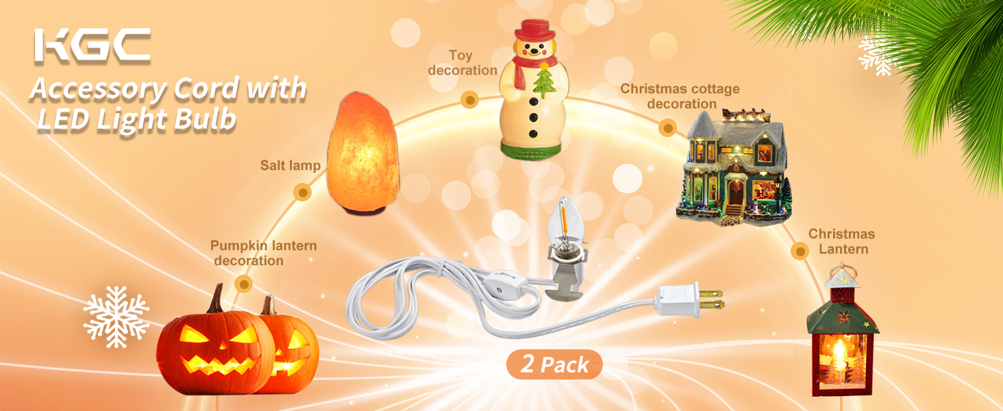 C7 Accessory Cord with 2 C7 Led Light Bulb