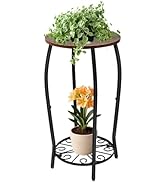 Uniqcovosa Plant Stand Indoor Outdoor, 2-Tier Tall Wood & Iron Plant Stand, 4-Leg Corner Flower S...