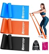 Resistance Bands for Working Out, Exercise Bands for Physical Therapy, Stretch, Recovery, Pilates...