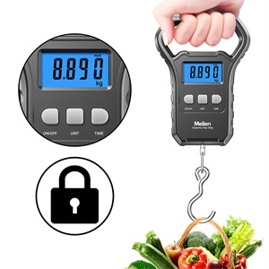 Data Locking Function