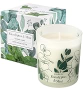 ROMIIE ZOI Scented Candle - Eucalyptus & Mint - 6oz Aromatherapy Soy Wax Jar Candle for Home, Gif...