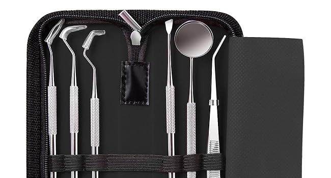 G.CATACC dental kit for teeth care with dental mirror, dental plaque remover tool, storage case
