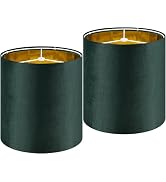 Small Drum Lamp Shades 2 Pack, 10 * 10 * 10 Inch,Luxurious Green Velvet Lamp Shade fit with Spide...