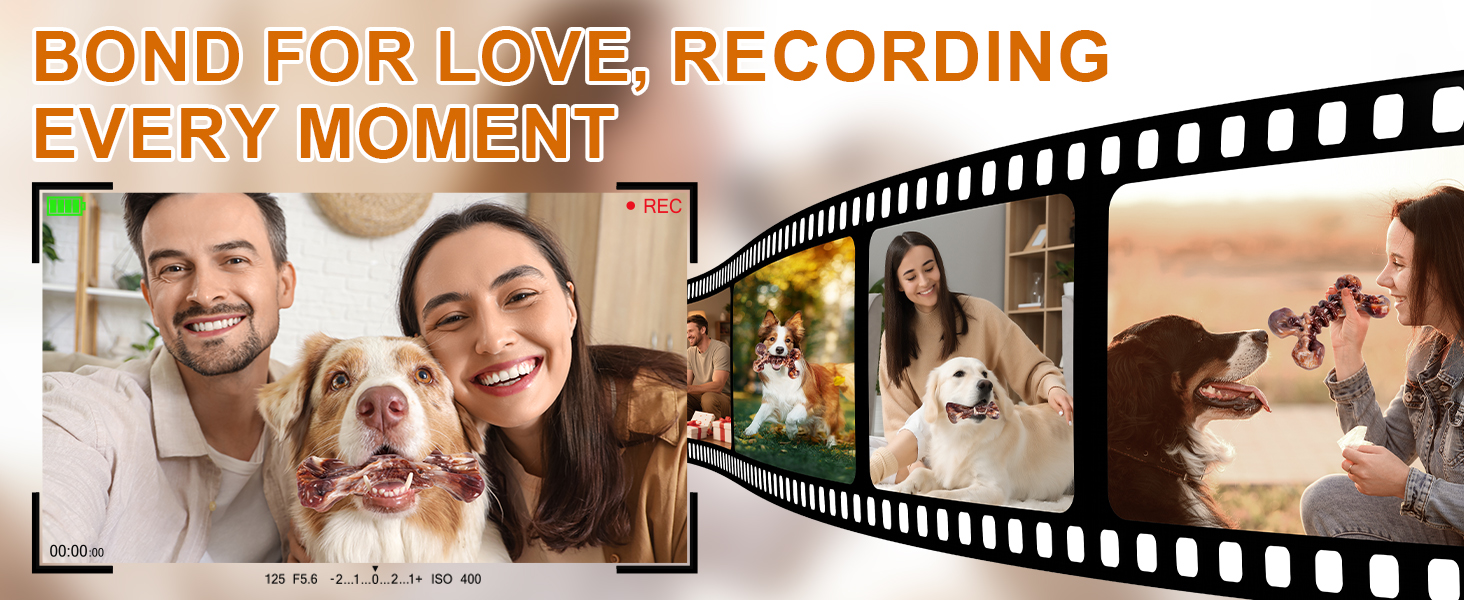 Chew Toy That Brings Joy to Dogs & Owners