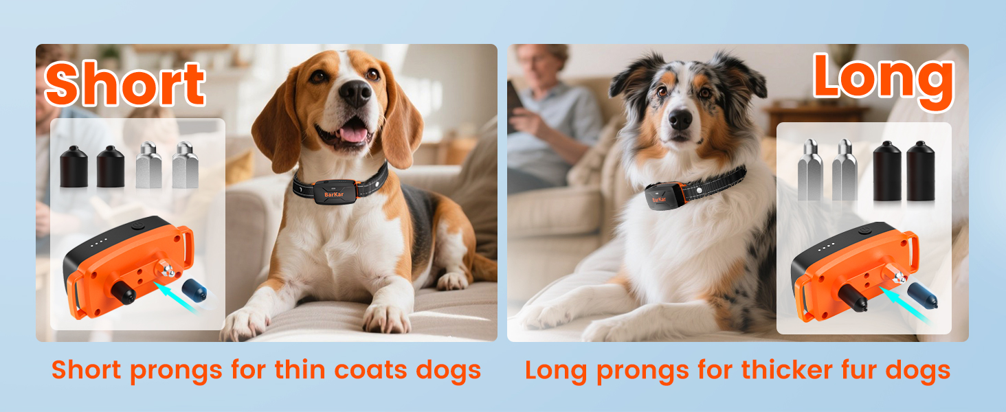 shock collar with remote