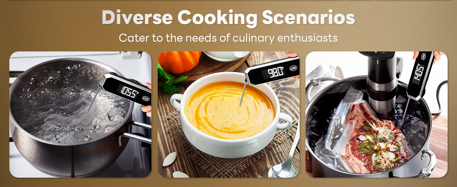 digital thermometer for cooking