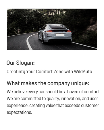 WildAuto Car Cleaning Gel Blind Spot Mirror