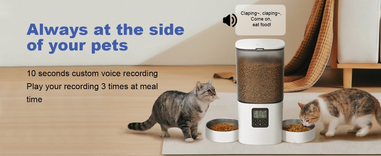 automatic cat feeder with voice call