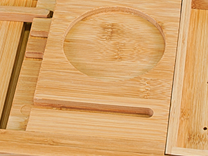 Bathtub Tray