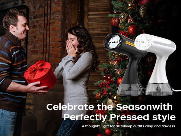 White portable steamer for clothes