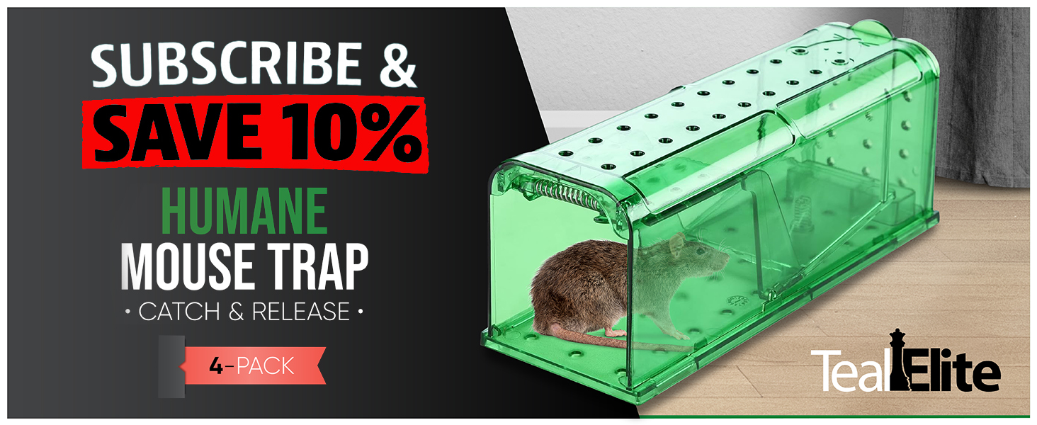 Humane Mouse Trap Catch & Release 4 Pack in Green