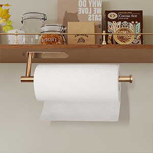 Stainless Steel Paper Towel holder