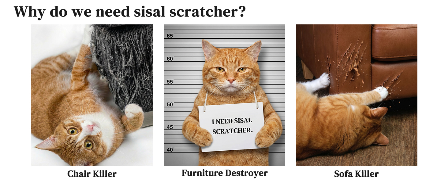 Cat Scratcher with Ball