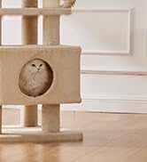Modern Cat Tower for Indoor Cats with Hammock