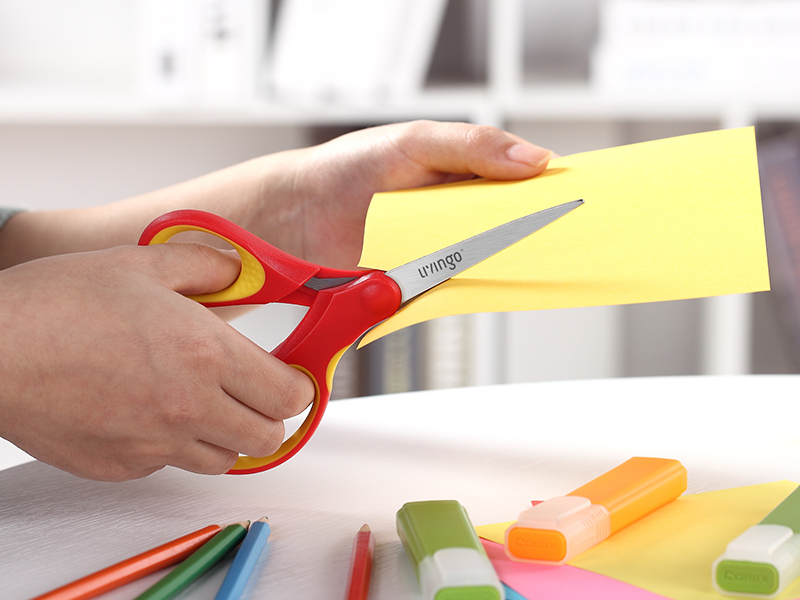 CD5 School Scissors