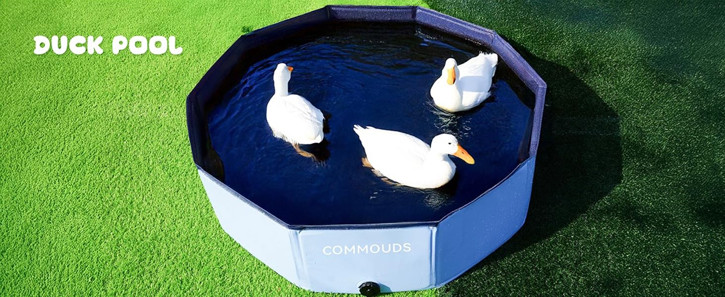 duck pool