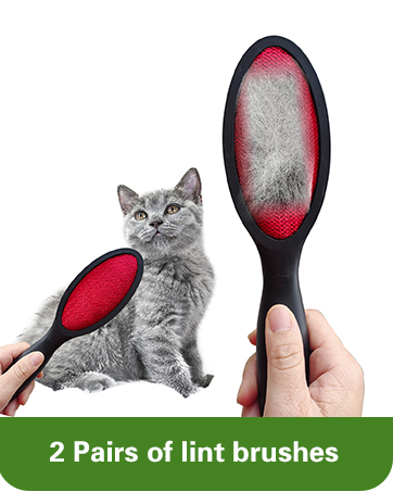 Lint Brush