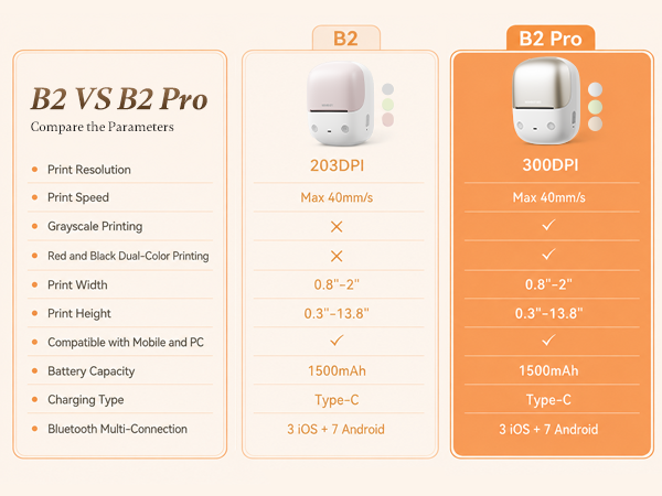 NIIMBOT B2 Pro Label Maker
