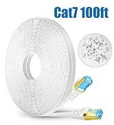 Ethernet Cable 100 ft