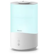 Humidifier with Essential Oil Diffuser