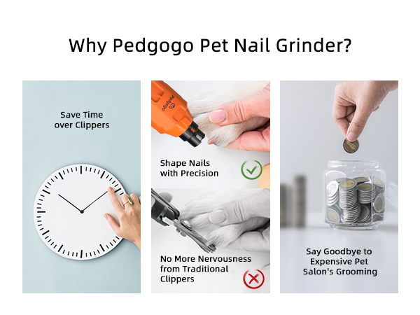 Save Time & Money by using Pedgogo