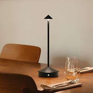 cordless lamp