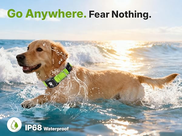 Dog wearing MYIWB collar with IP68 rated locator tag swimming in ocean waves