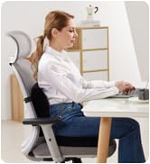 seat cushion and lumbar pillow office