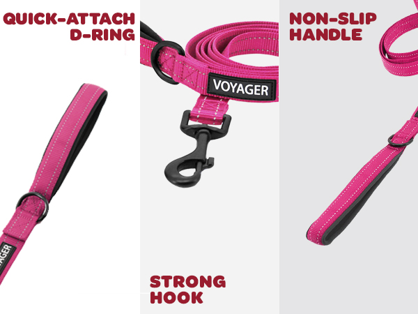 dog accessories