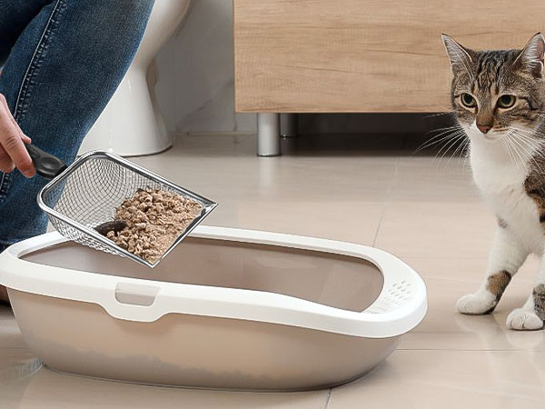 cat shovel