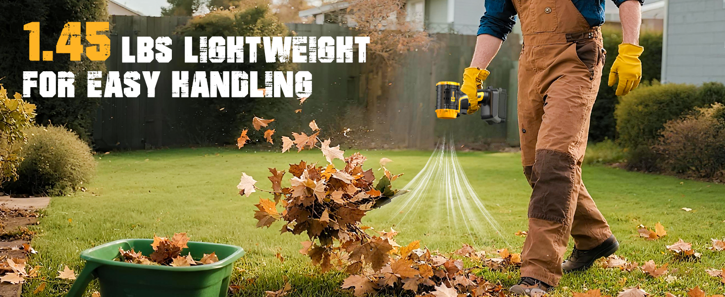 dewalt cordless blower