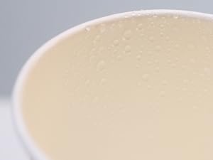 Food-Grade PE Coated Inner Lining