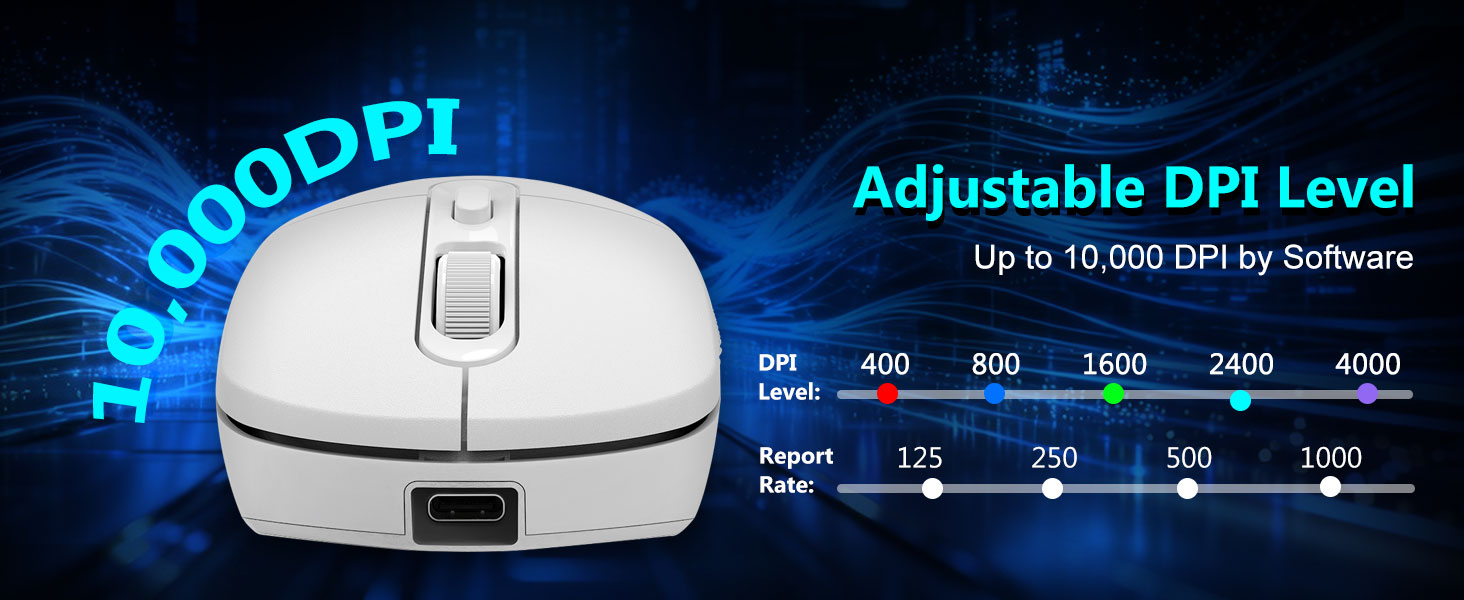 adjustable dpi