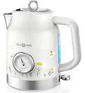 PARIS RHÔNE Retro Stainless Steel Electric Kettle, 1.7L Cordless Hot Water Tea Kettle with Thermo...