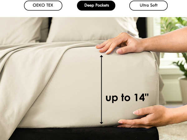 SHEET