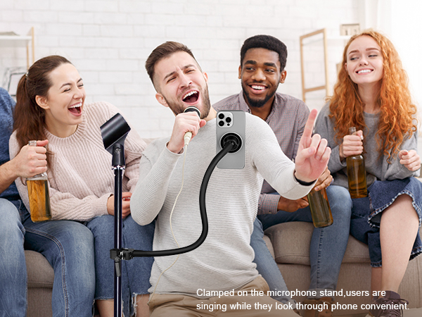 Mircophone stand gooseneck phone holder