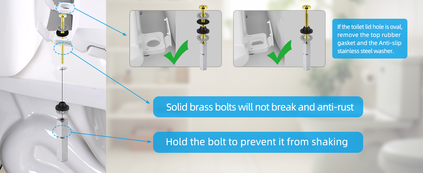 toilet seat bolts