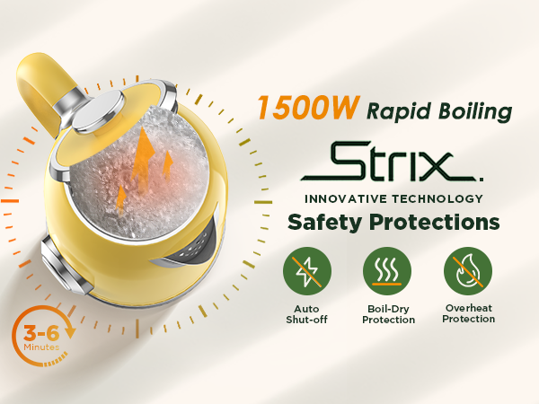 Electric tea kettle