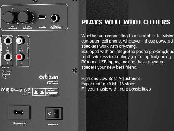 Active Monitor Speaker