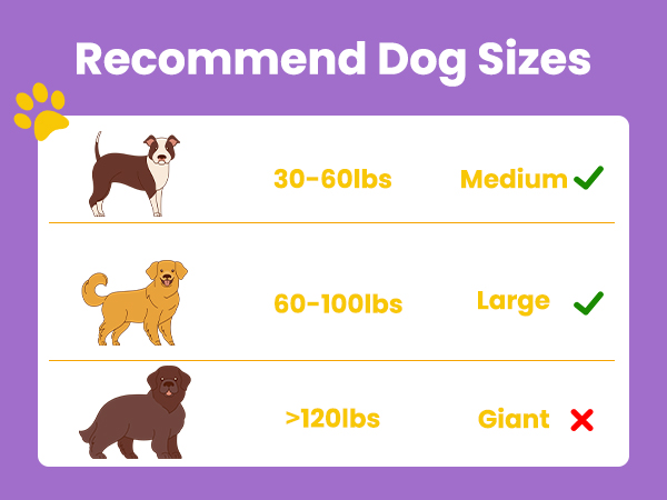 dog toys chewers
