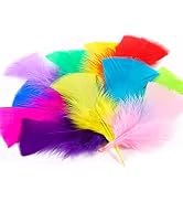 Soarer Colorful Craft Turkey Feathers - 300pcs 3-5inch Colored Feathers for Kindergarten DIY Craf...