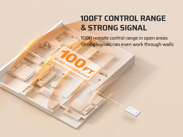 remote switch