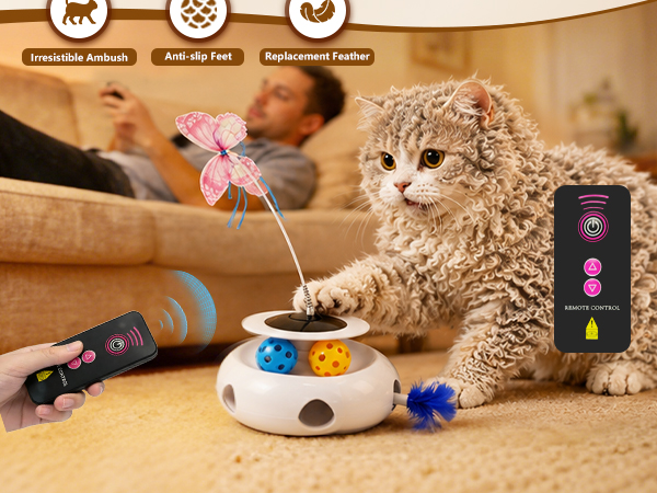 cat ball toy