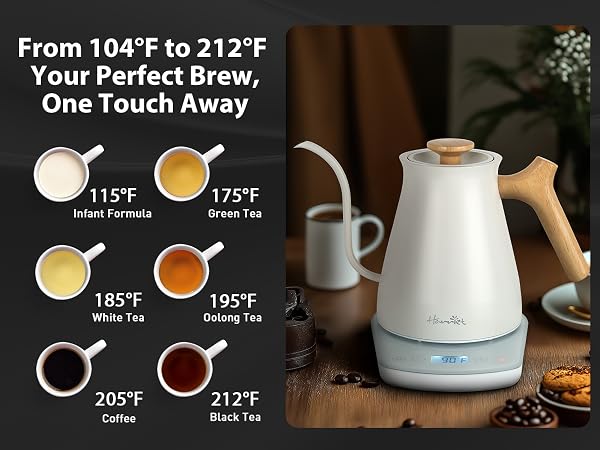 Gooseneck Electric Kettle