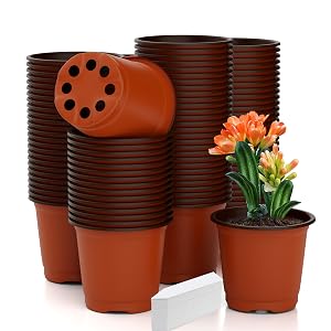 plant pots pots for plants succulent pots plant pots indoor plant pot indoor plant pots