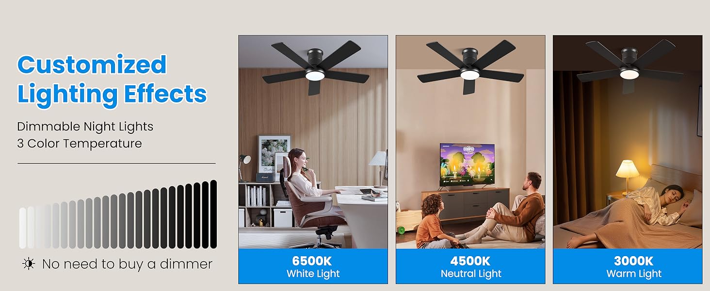 ceiling fan with light