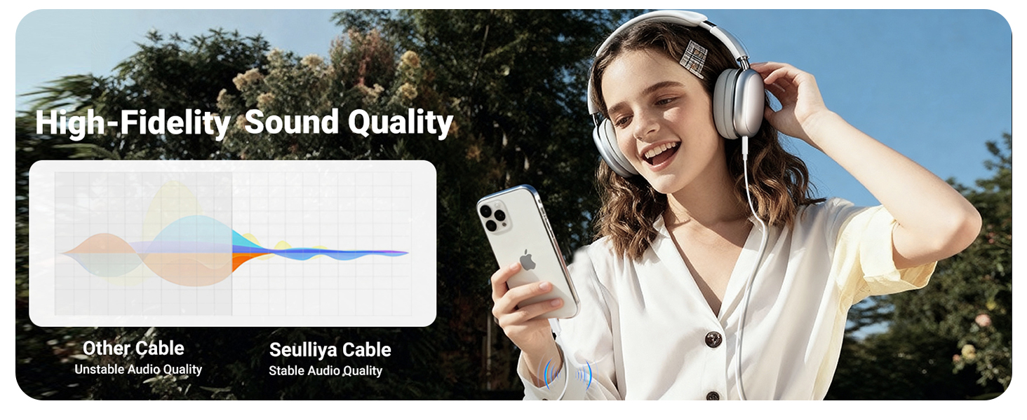 iphone aux adapter