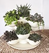 succulent planter, succulent container, succulent plant pot, modern plant pot, indoor plant pot