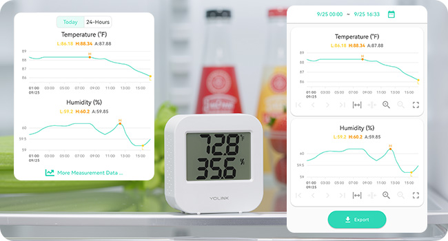 Visualize & Export Data